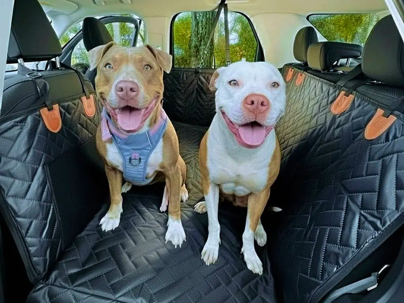 Happy pups, stress-free rides