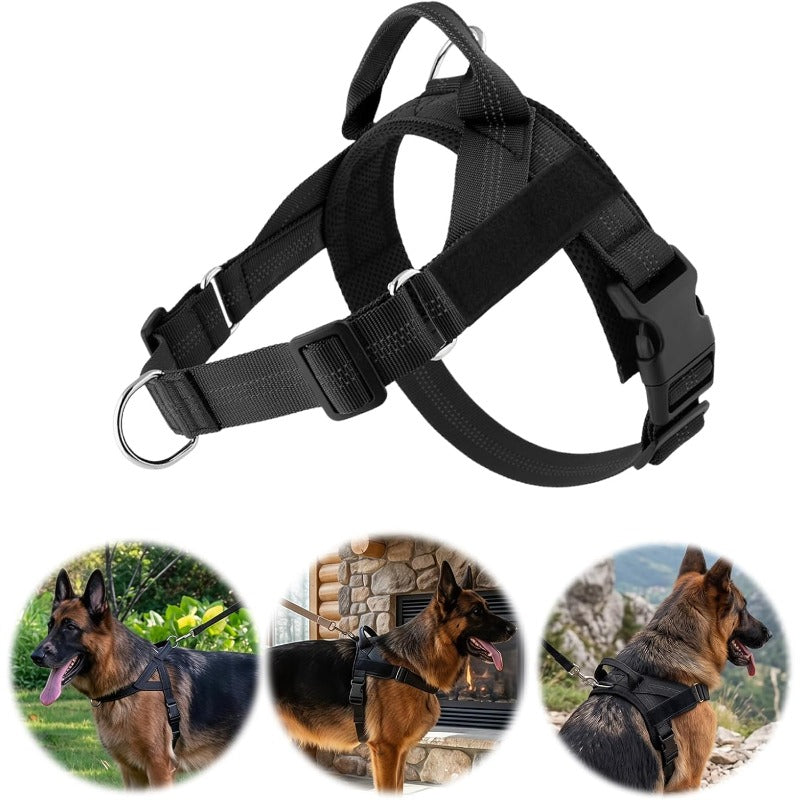 StepEasy™ No-Pull Dog Harness — Breathable Mesh, Front-Clip | Better Pet & Co