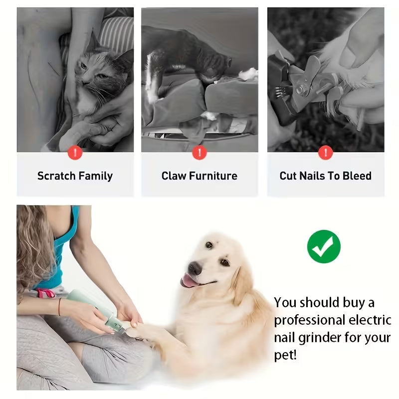 Scratched arms, a clawed sofa and a nail cut too short with clippers, and below them a golden retriever sitting calmly while its nails are ground