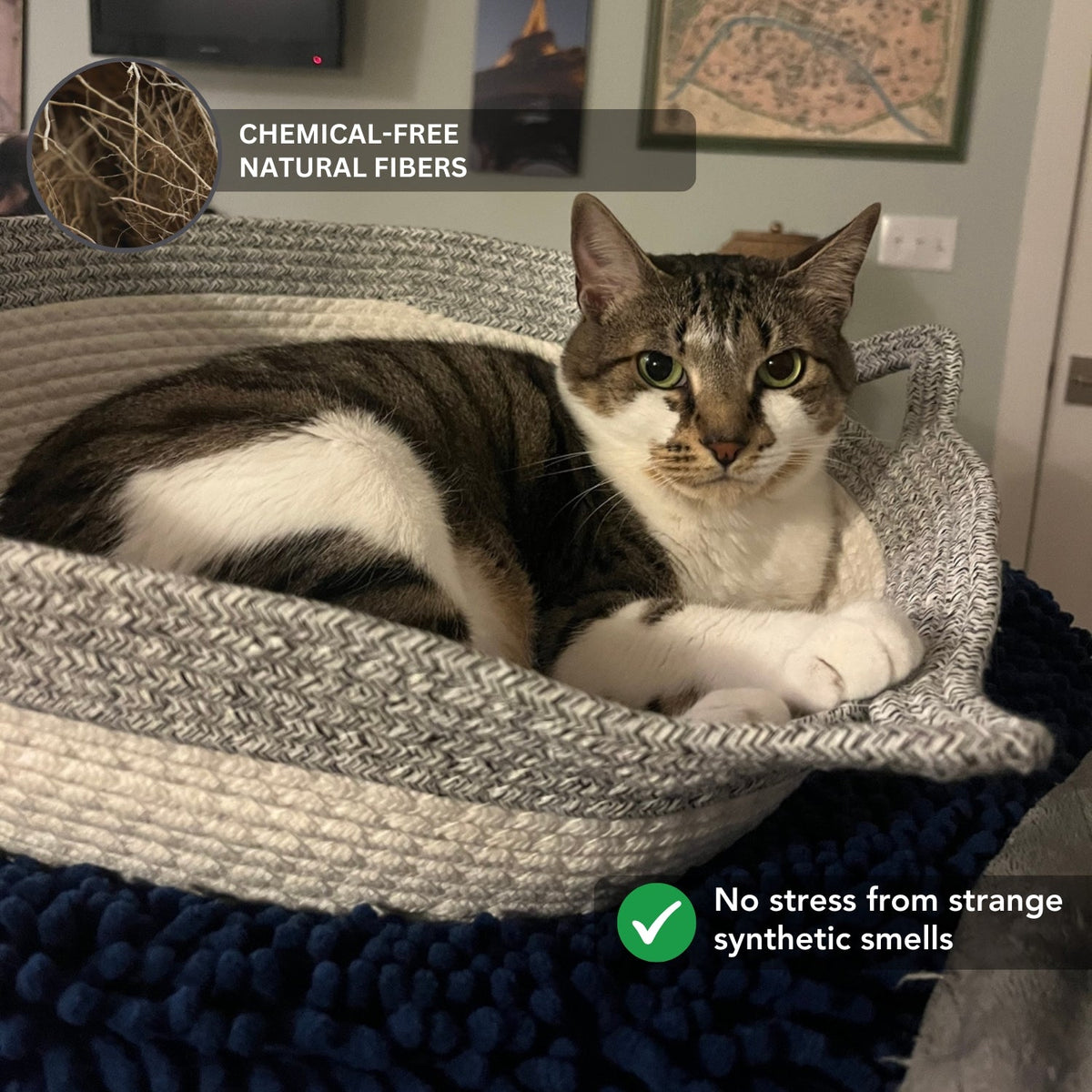 Instinct Basket Round Cat Bed
