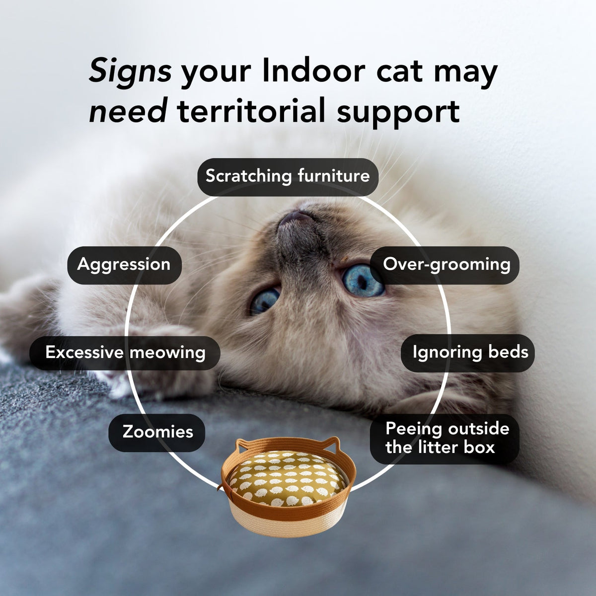 Instinct Basket Round Cat Bed