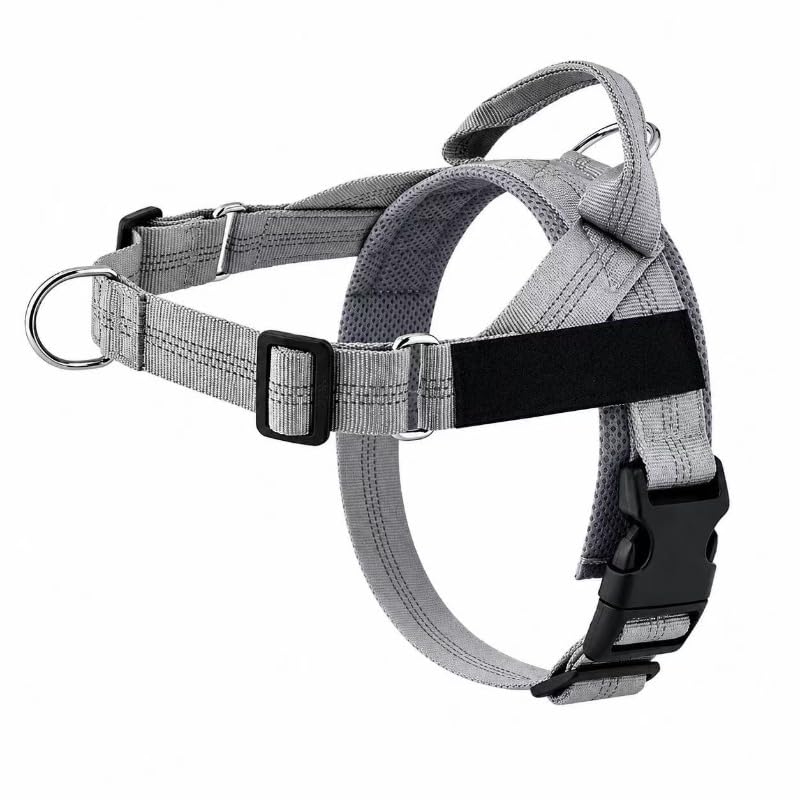 StepEasy™ No-Pull Dog Harness — Breathable Mesh, Front-Clip | Better Pet & Co