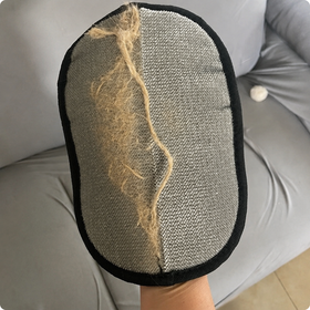 A customer holding the hair remover, coated in golden retriever hair, with her dog beside her on the sofa