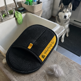 The grooming glove beside a sink with a clump of husky hair on the counter, the dog watching