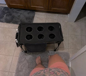 A border collie in the kitchen having anti-slip socks fitted