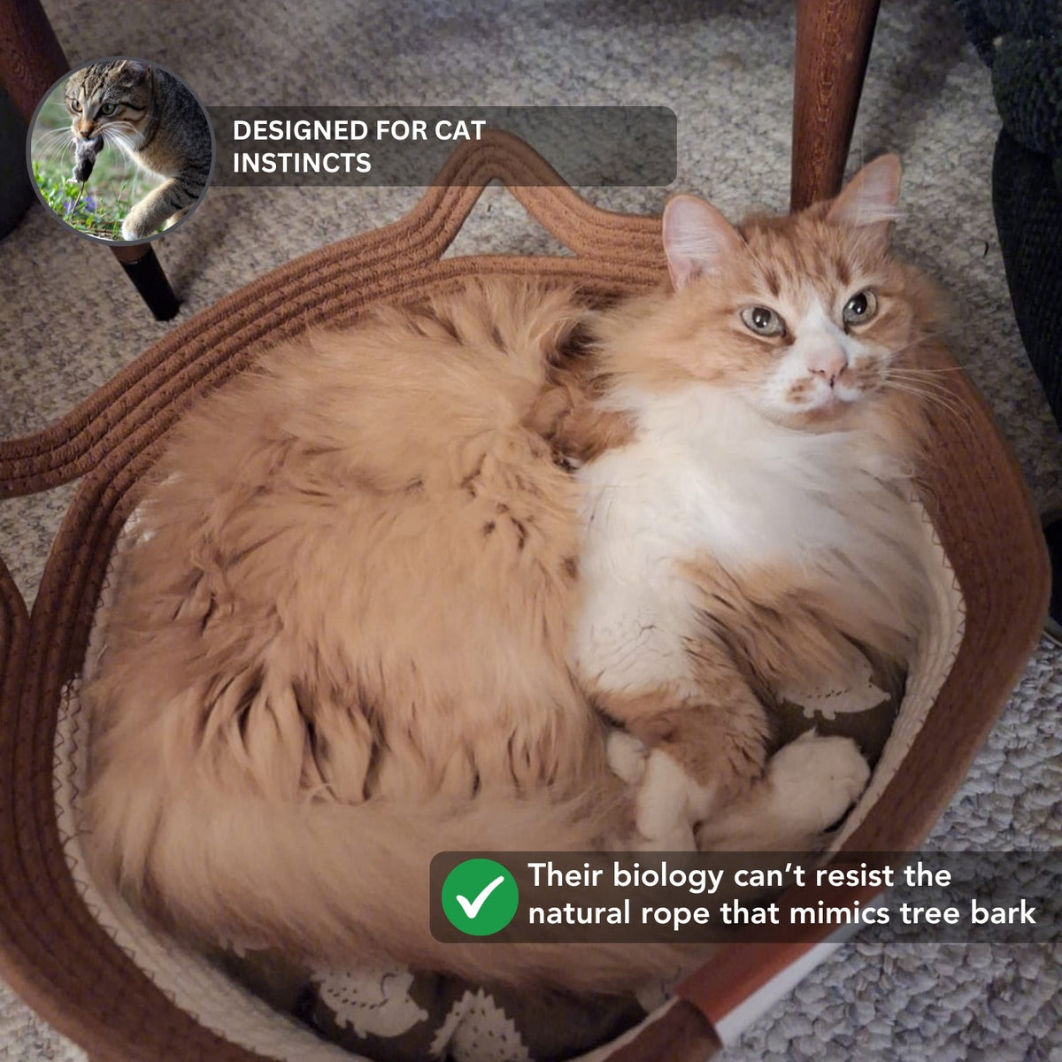 Instinct Basket Round Cat Bed