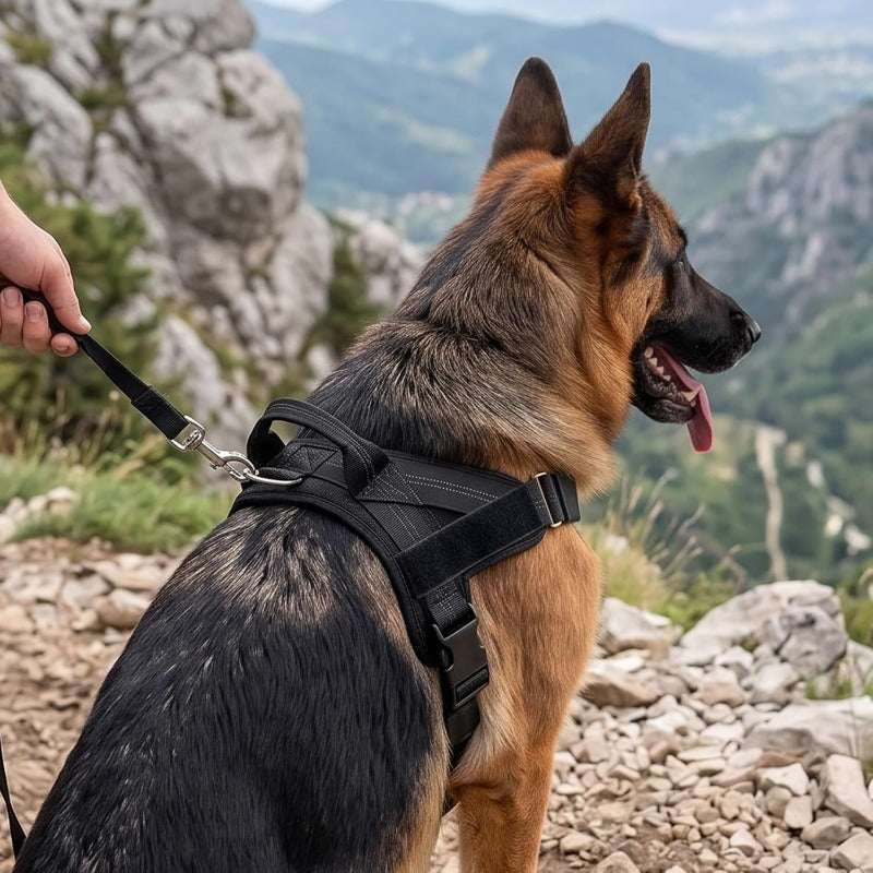 StepEasy™ No-Pull Dog Harness — Breathable Mesh, Front-Clip | Better Pet & Co