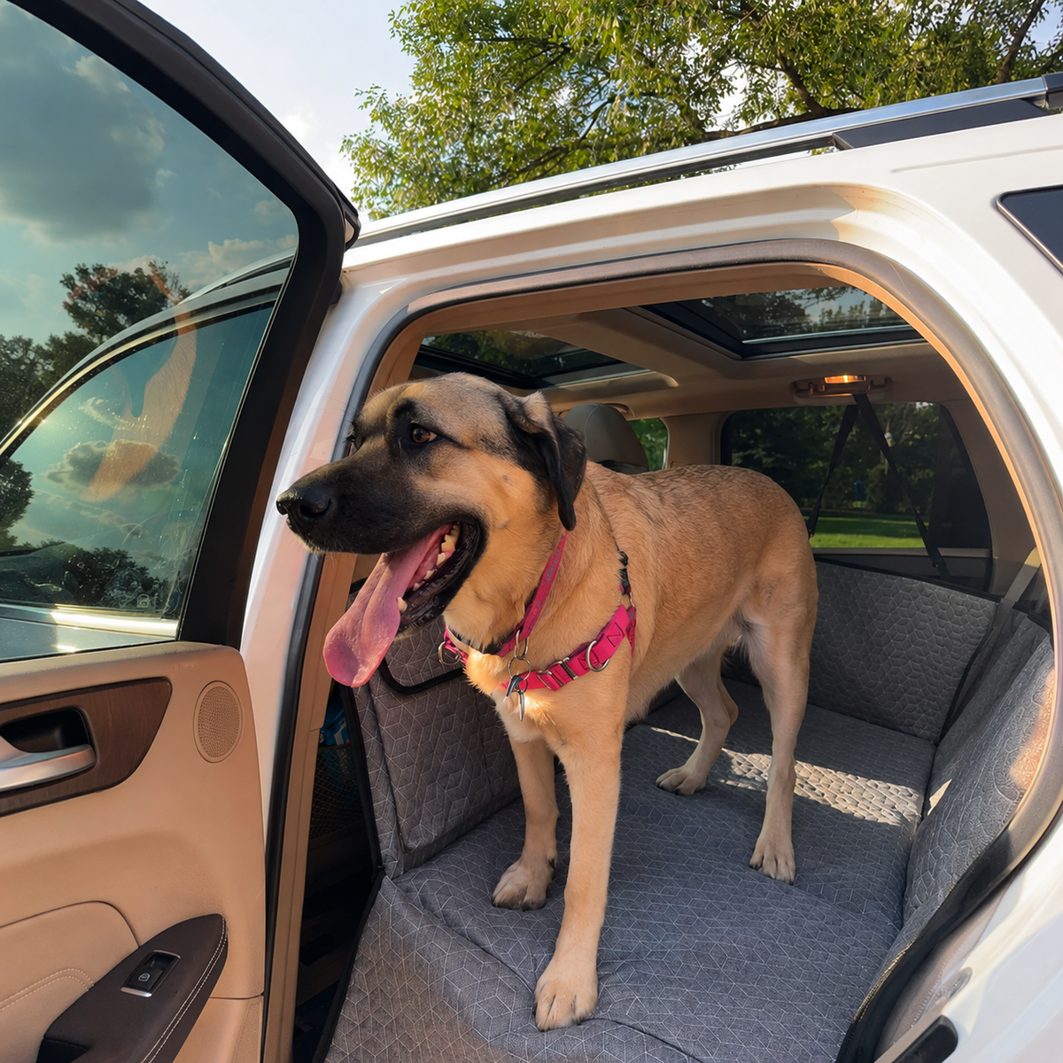 Hard-Bottom Dog Car Seat Cover | Better Pet & Co