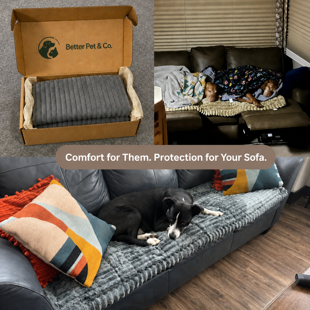 Quilted Couch Cover for Dogs and Cats | Better Pet & Co