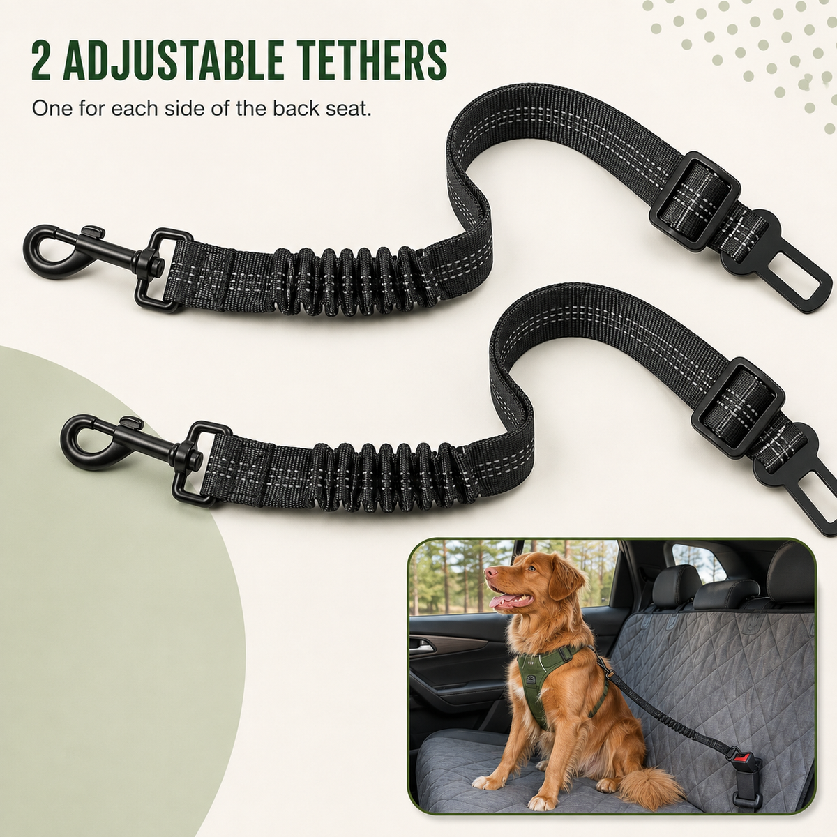 Dog Car Seat Belt Tether — 2 Pack | Better Pet & Co