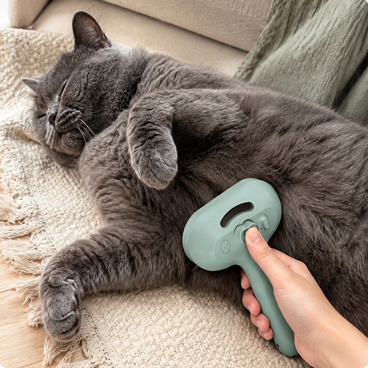 Self Cleaning Misting Brush for Dogs and Cats