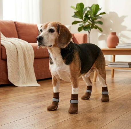 Grip Socks for Dogs on Slippery Floors | Better Pet & Co
