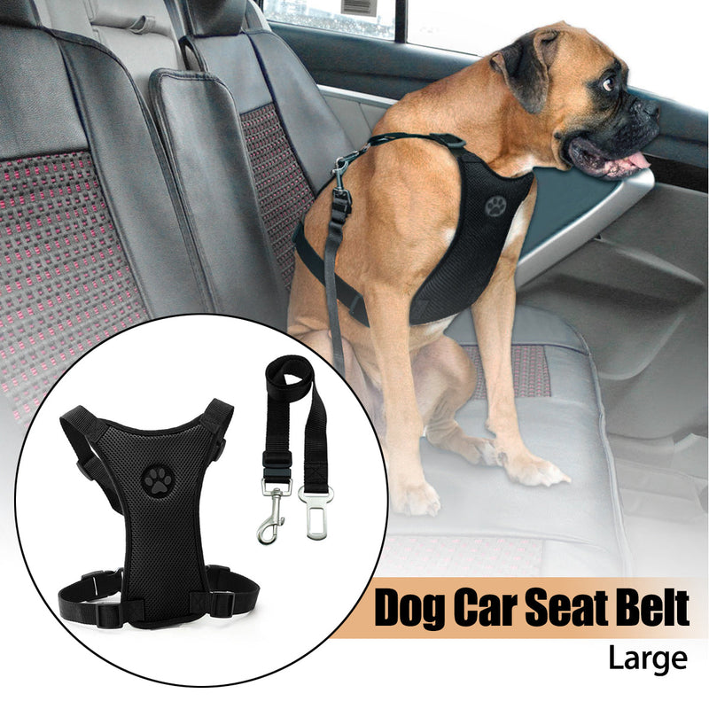 Dog Car Harness and Seat Belt Tether for Large Dogs | Better Pet & Co