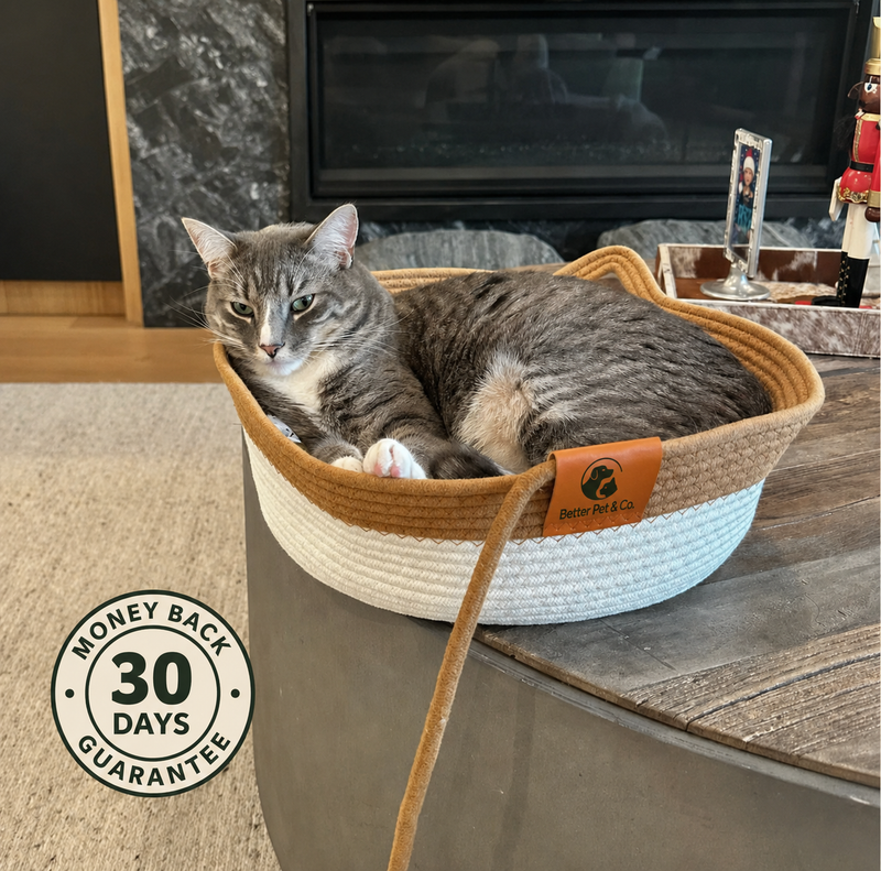Instinct Basket Round Cat Bed