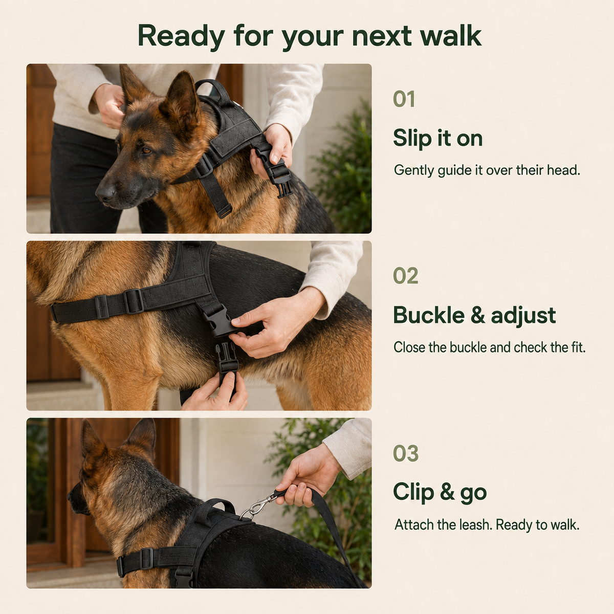 StepEasy™ No-Pull Dog Harness — Breathable Mesh, Front-Clip | Better Pet & Co