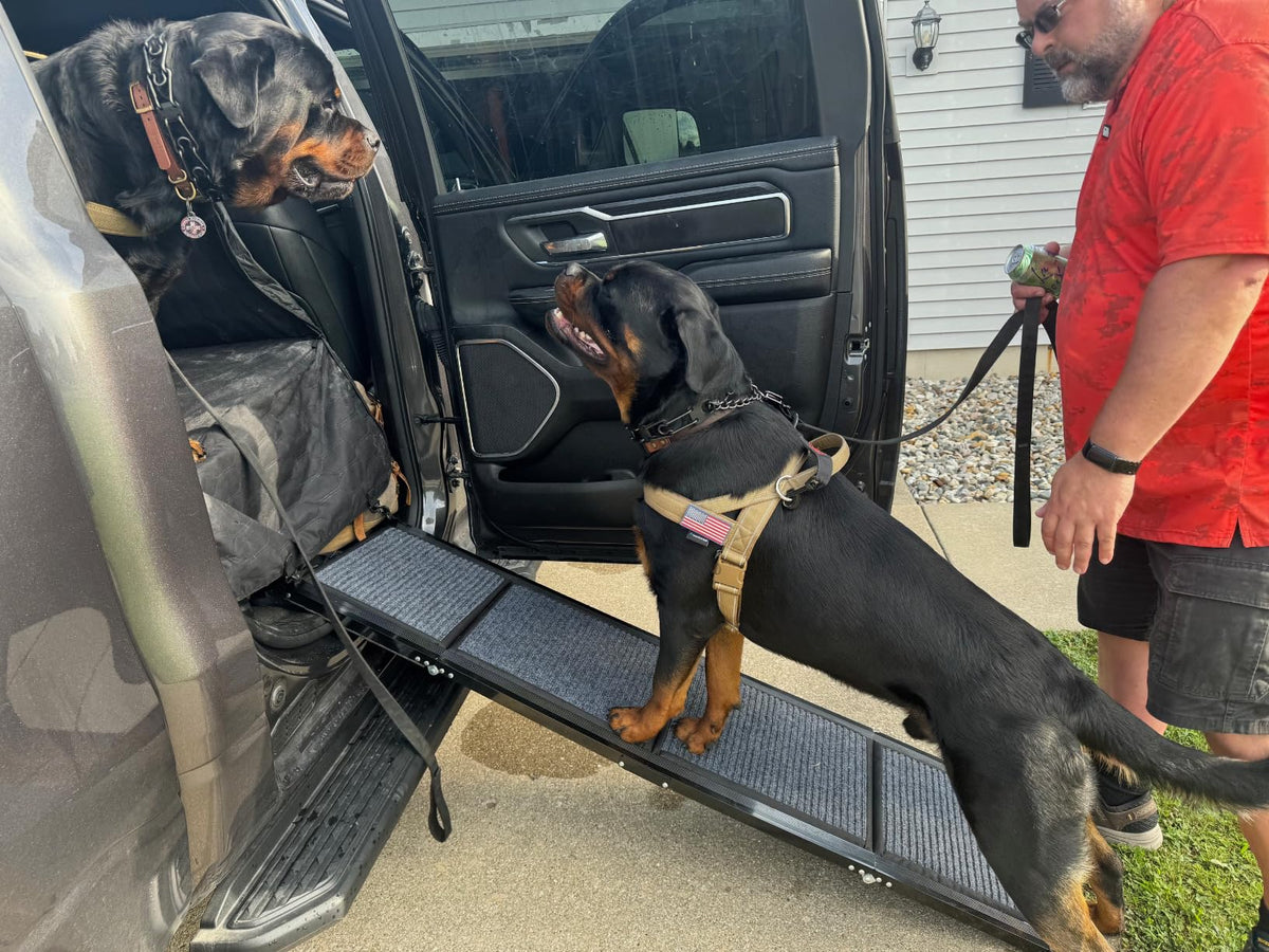 Foldable Aluminum Dog Ramp for Cars and SUVs | Better Pet & Co
