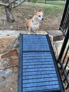 Foldable Aluminum Dog Ramp for Cars and SUVs | Better Pet & Co