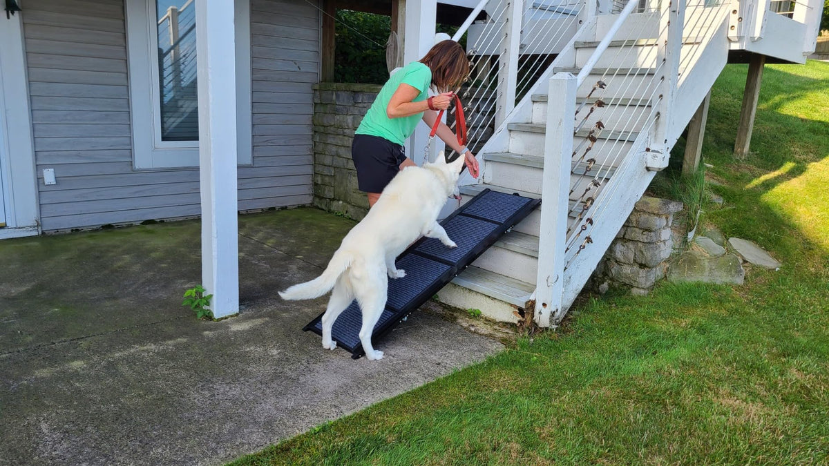 Foldable Aluminum Dog Ramp for Cars and SUVs | Better Pet & Co
