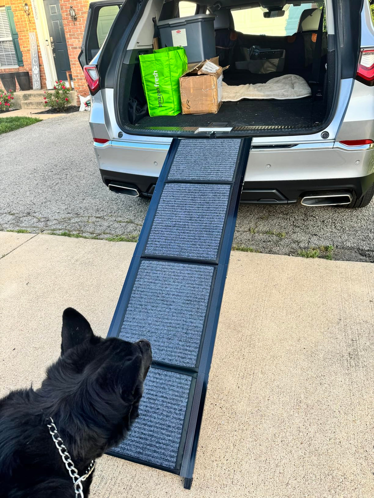 Foldable Aluminum Dog Ramp for Cars and SUVs | Better Pet & Co